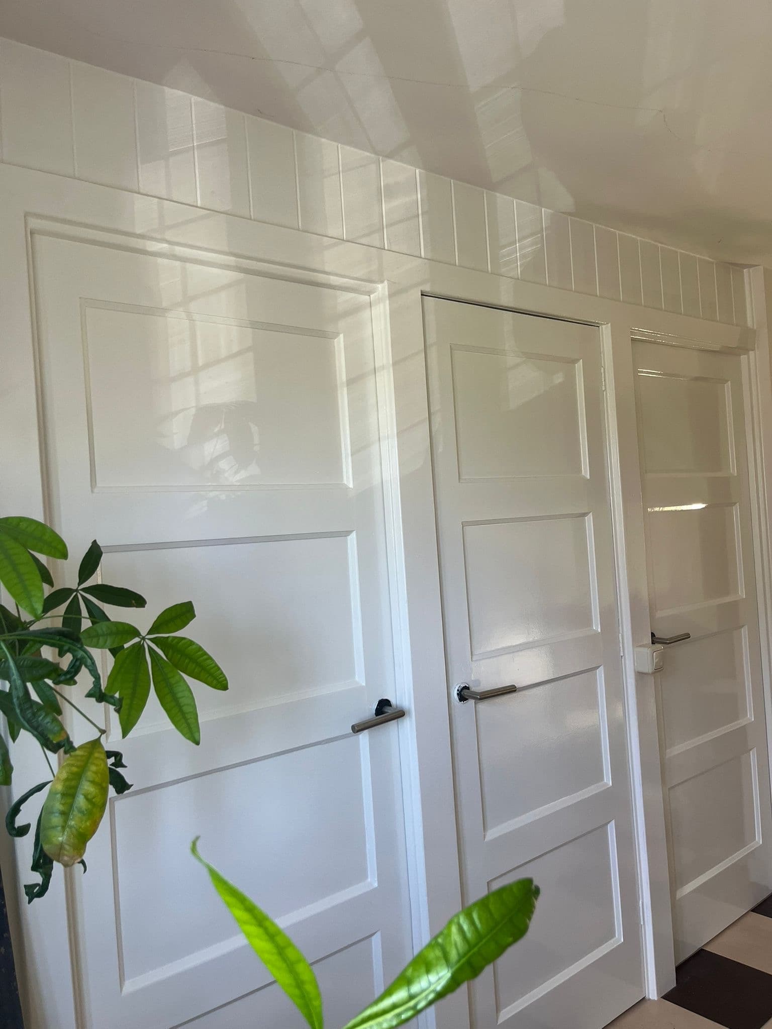 Woning (na) — Beschermd en verzorgd buitenschilderwerk. N. Boersma Schilderwerken, Drachten.